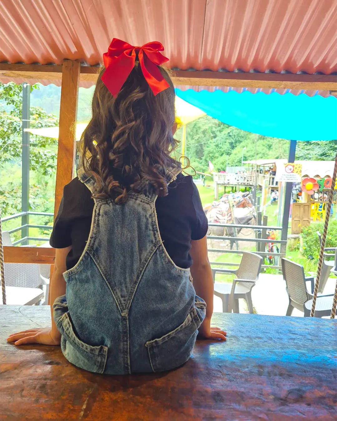 Foto de Ruta al Tolima