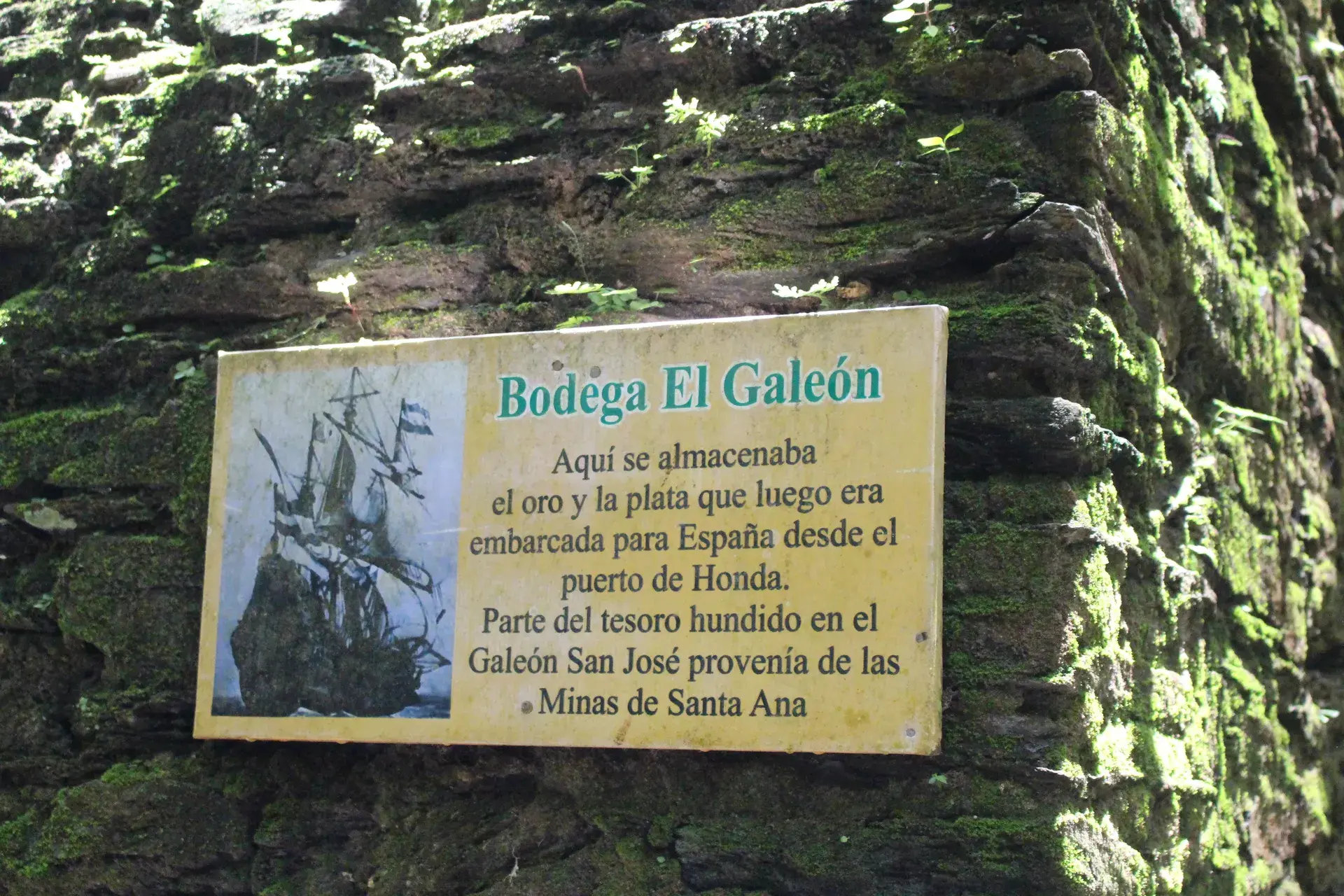 Descripción de la imagen